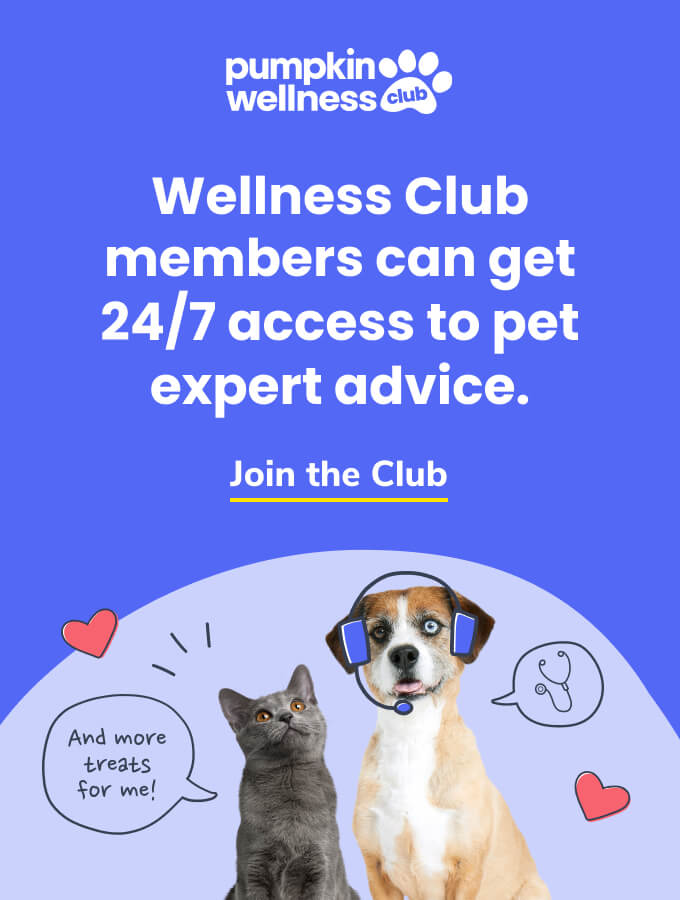 Pumpkin Wellness Club members can get 24/7 access to pet expert advice. Click the image to learn more about the club.