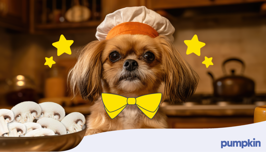 cute dog in the kitchen wearing a chef's hat with bowl of mushrooms