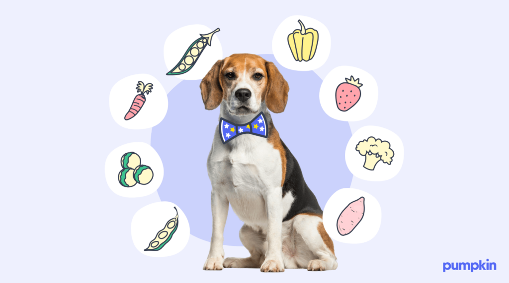 A sitting dog wearing a bow tie and surrounded by 8 icons of vegetables.