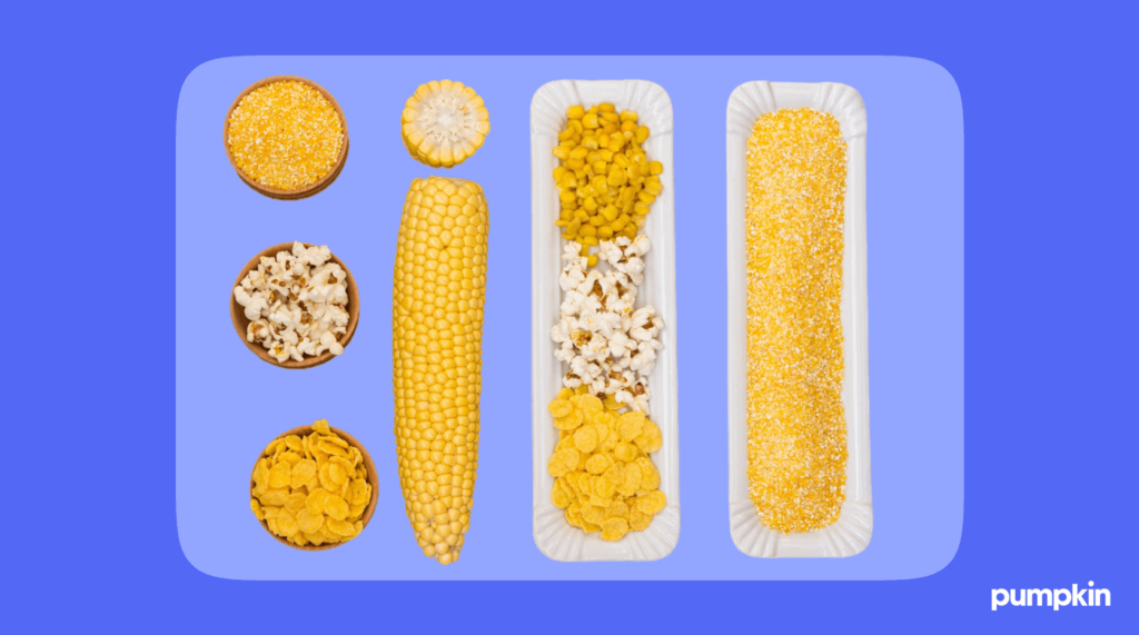 graphic showing corn, corn kernels, and food products made from corn