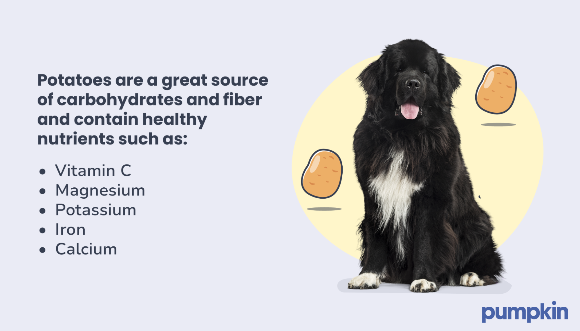 Infographic of the nutrients found in potatoes; text reads 'Potatoes are a great source of carbohydrates and fiber and contain healthy nutrients'