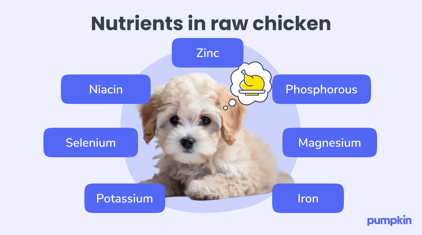 Infographic of nutrients in raw chicken