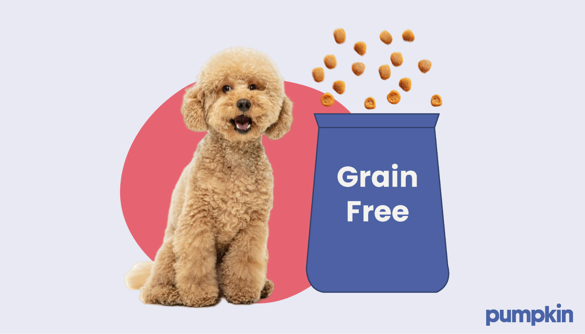 A dog beside a bag of grain-free kibble