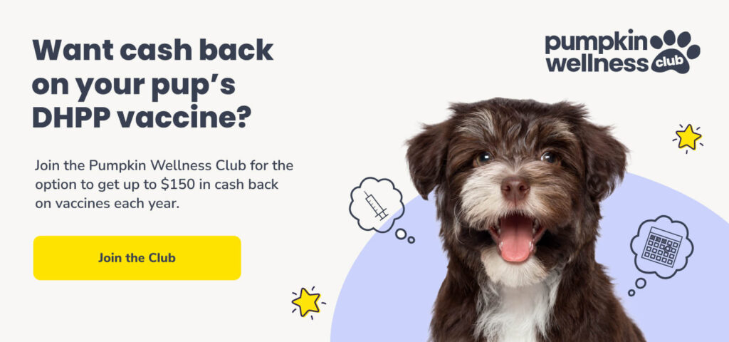 Want cash back on your pup's DHPP vaccine? Join the Pumpkin Wellness Club to get up to $150 in cash back on vaccines every year. Click the button to learn more.