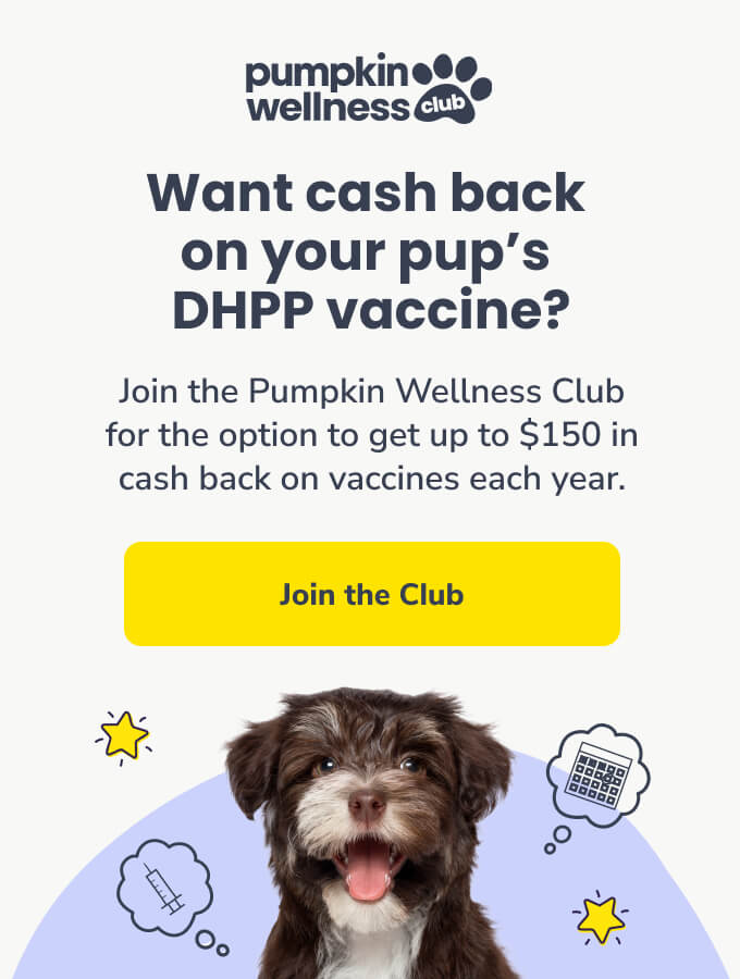 Want cash back on your pup's DHPP vaccine? Join the Pumpkin Wellness Club to get up to $150 in cash back on vaccines every year. Click the button to learn more.