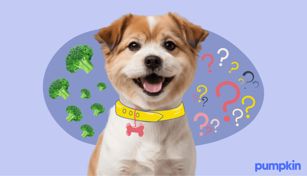 a puppy with brocolli and question marks