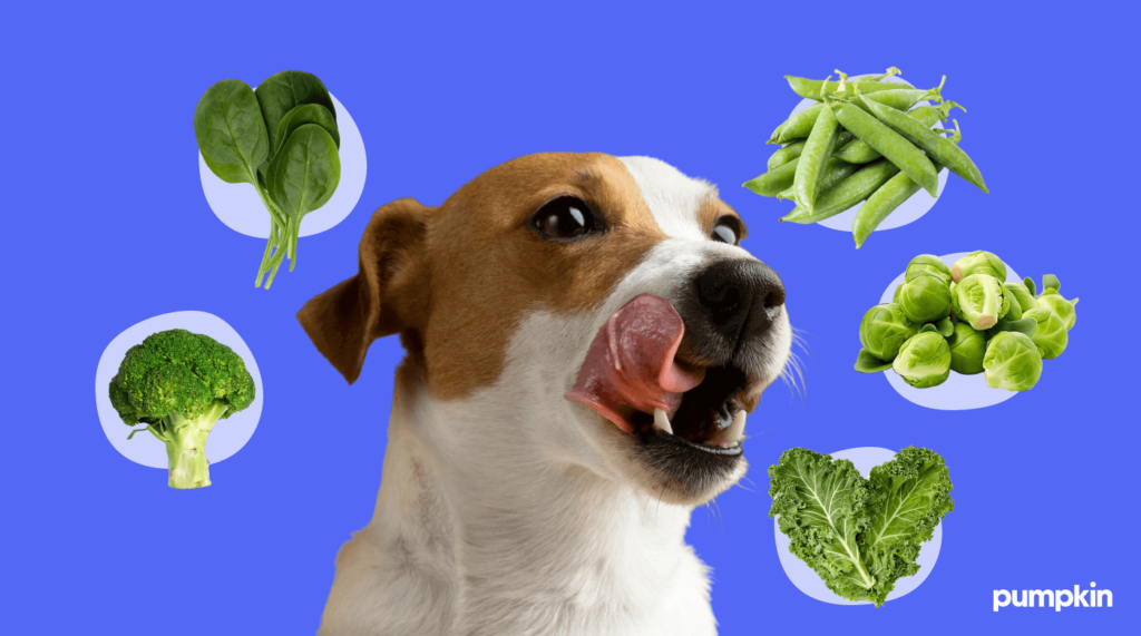 A dog surrounded by imagery of green vegetables