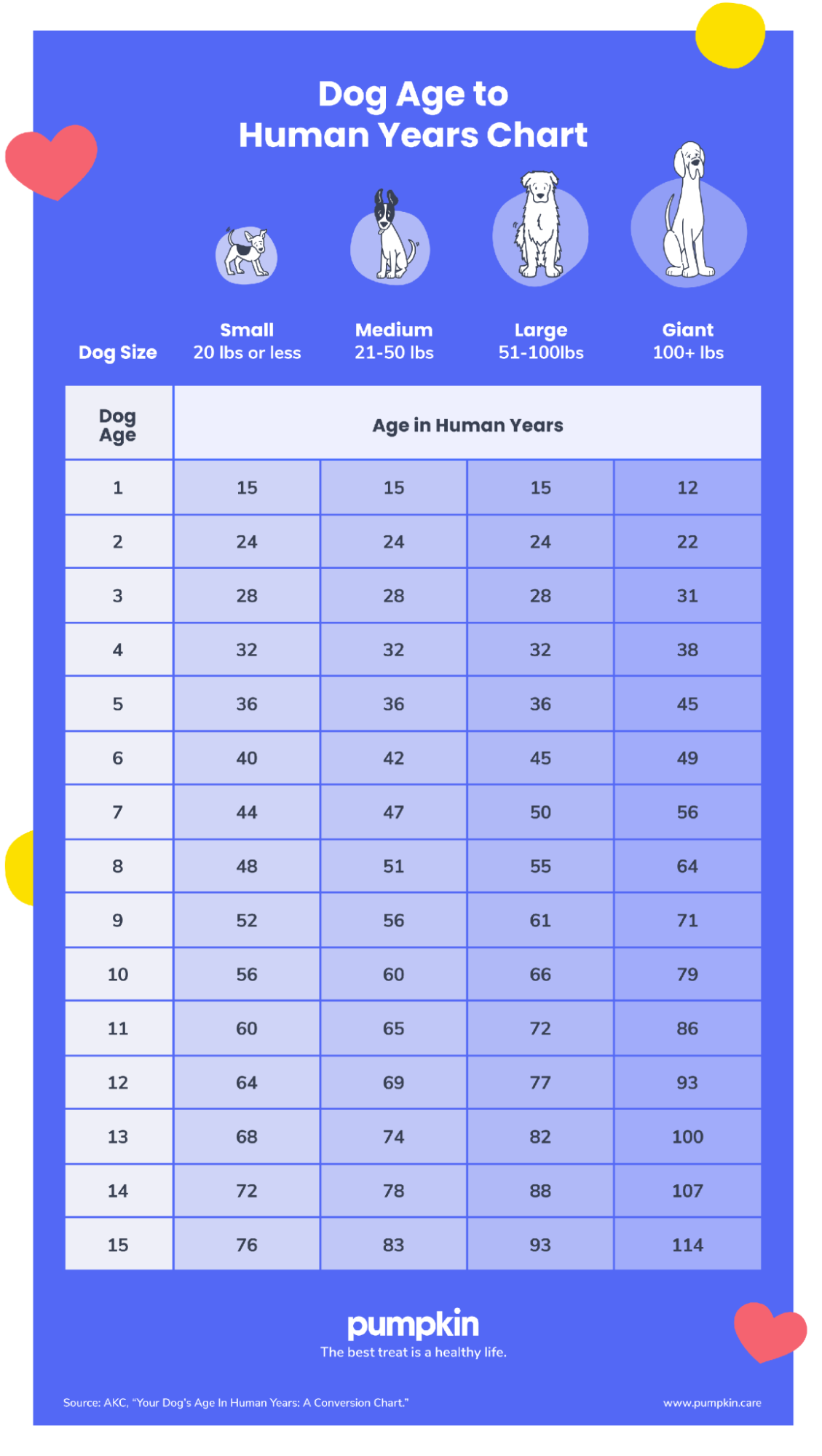 infographic titled 'Dog Age to Human Years Chart' with a chart showing how to convert dog years to human years based on weight