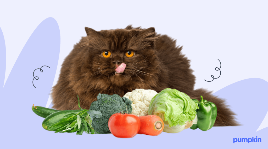 A fluffy cat licking its lips and posing with vegetables