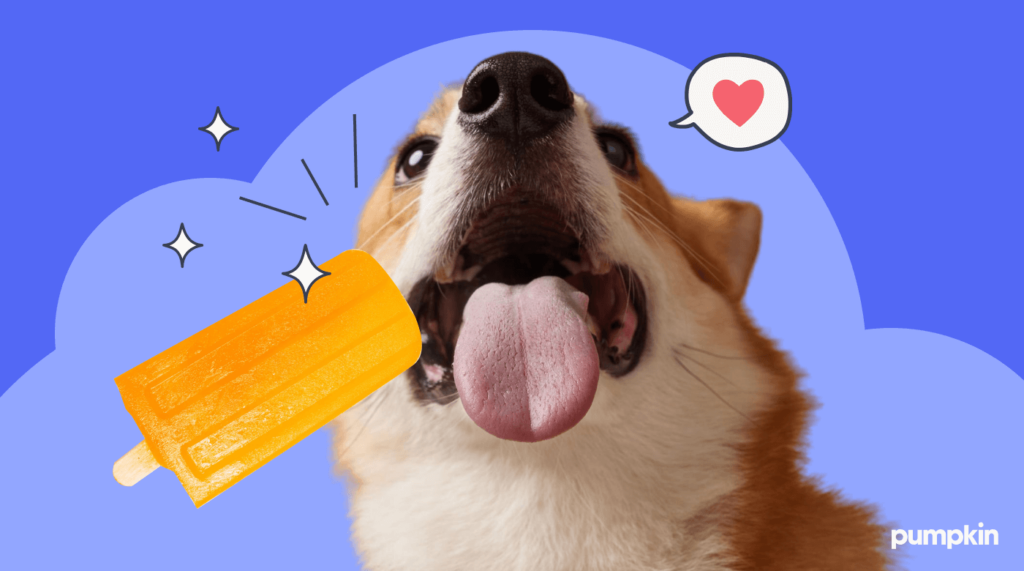 A dog ready to eat an orange popsicle