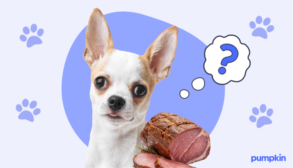 A dog beside a plate of cooked ham