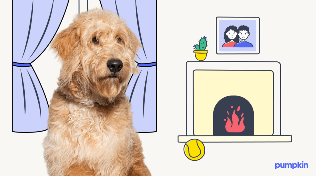 Goldendoodle in front of illustrated living room