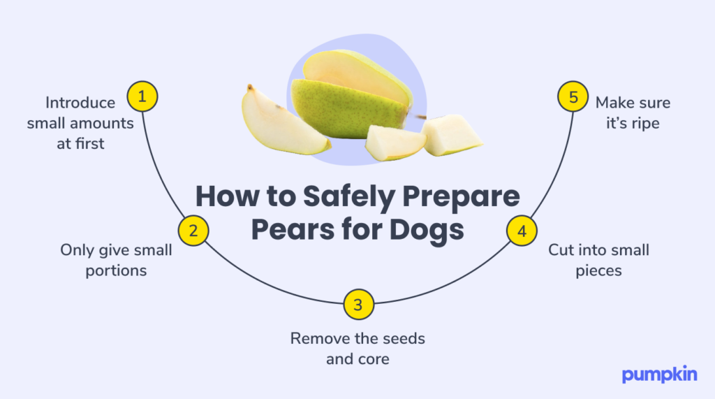 Can Dogs Eat Pears Nutritional Insights Pumpkin