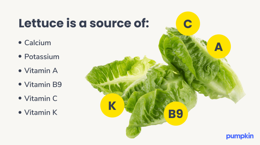 Infographic of the nutritional benefits of lettuce