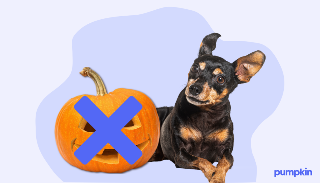 Dog next to a crossed out jack-o’lantern