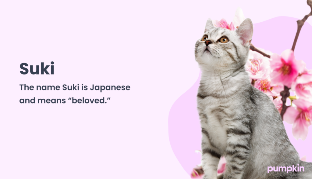 Suki name meaning; text reads 'Suki: The name Suki is Japanese and means 'beloved''