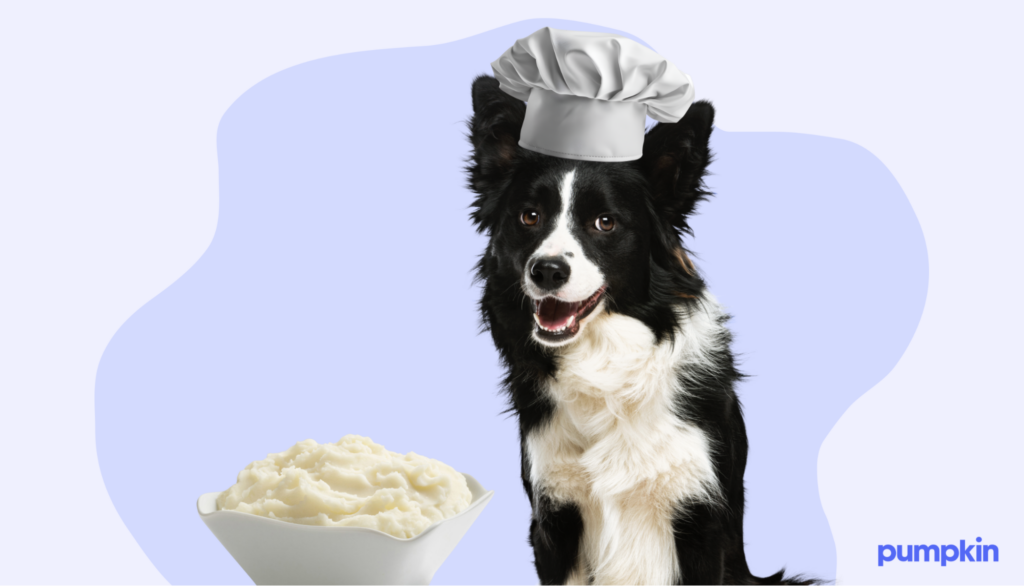 Dog in chef hat with mashed potatoes