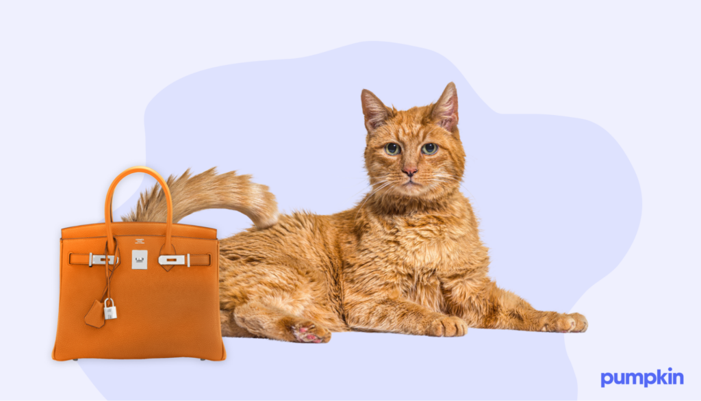 Orange cat sitting next to luxury orange purse