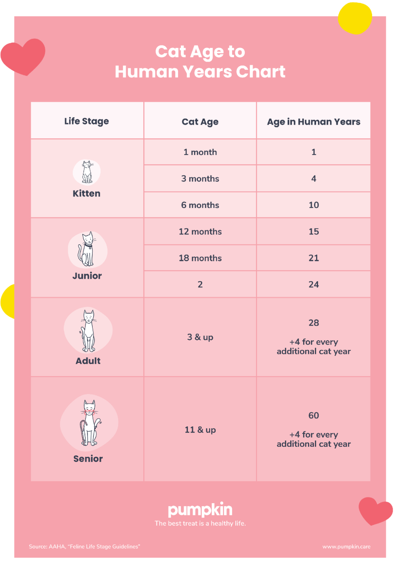 infographic showing how to calculate cat years to human years