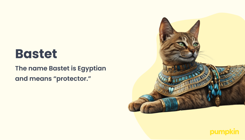 Bastet name meaning; text reads 'Bastet: The name Bastet is Egyptian and means 'protector'' 