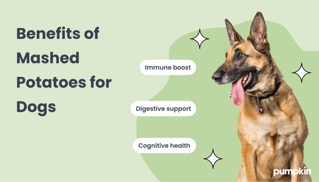 Infographic of the benefits of mashed potatoes for dogs