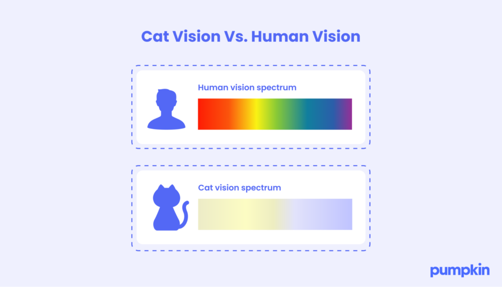 Comparison of human and cat vision spectrum