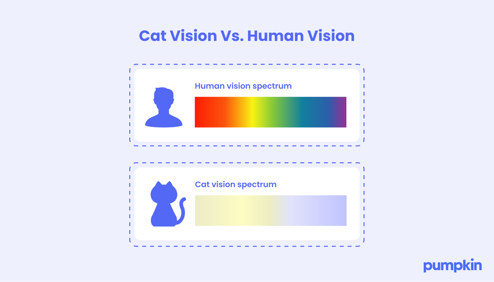 infographic comparing human and cat vision color spectrum