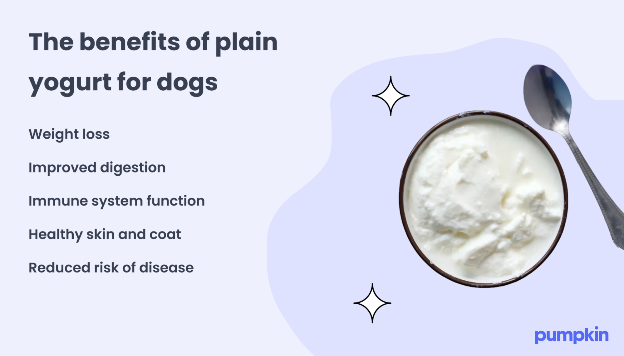 Natural yoghurt for dogs hotsell