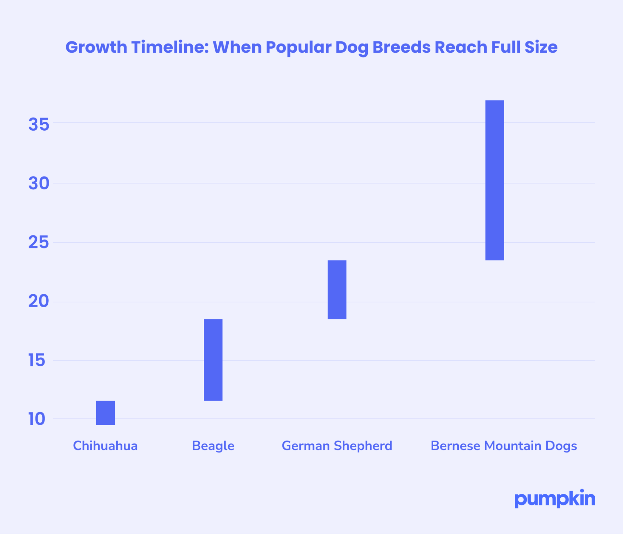 An infographic horizontal bar graph showing at how many months specific breeds stop growing.