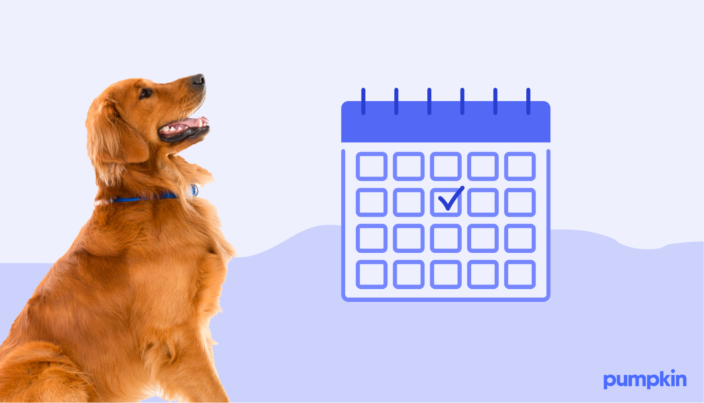 A dog looking at a calendar