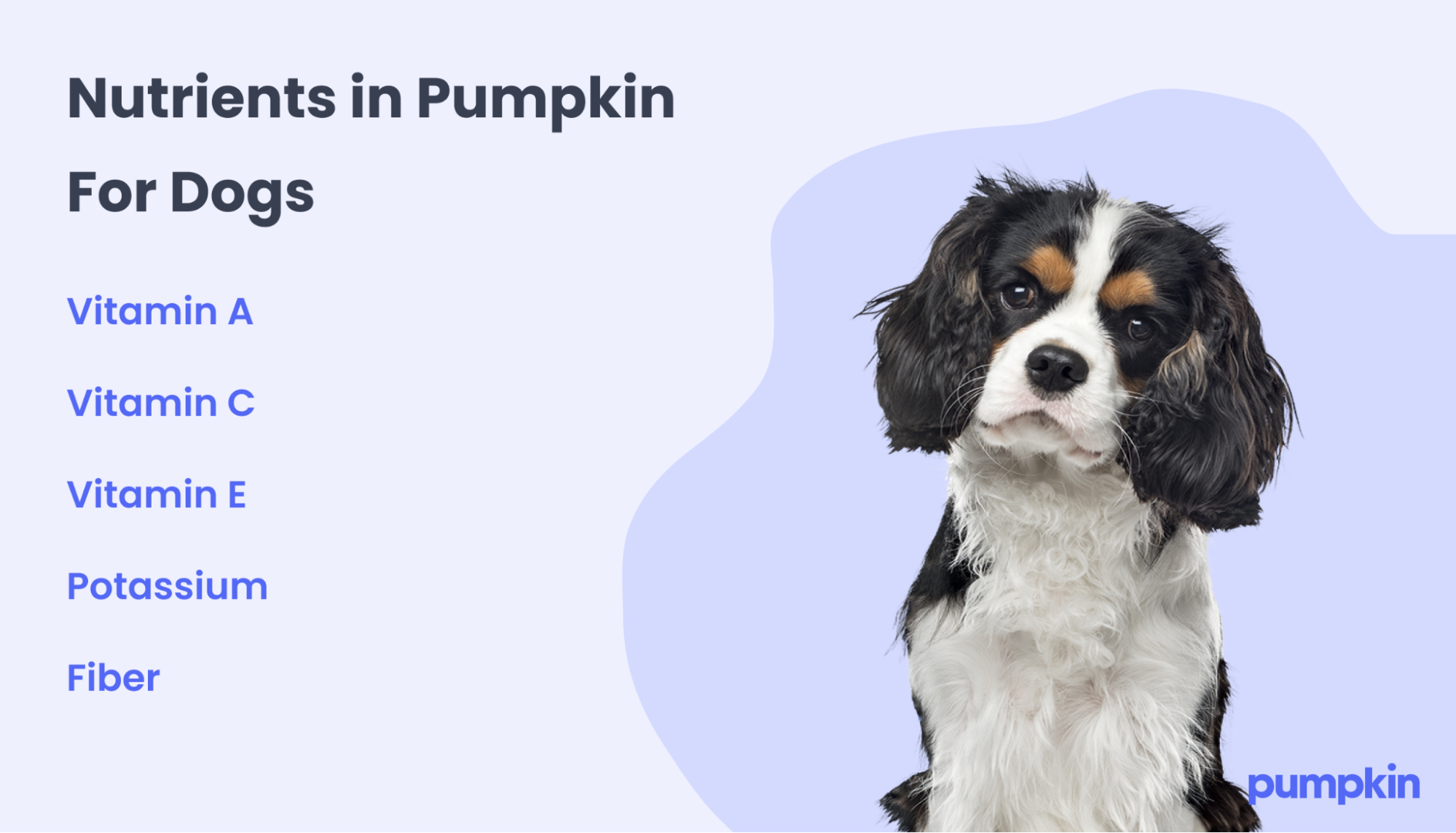 Infographic of nutrients in pumpkin