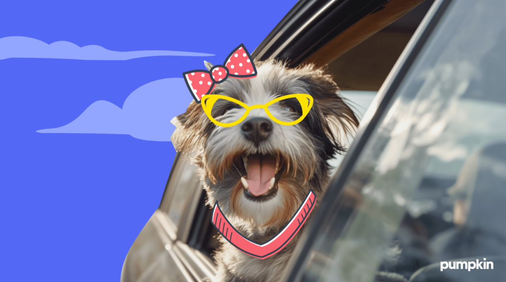 a dog sticking its head out of a car window with illustrated eyeglasses and accessories