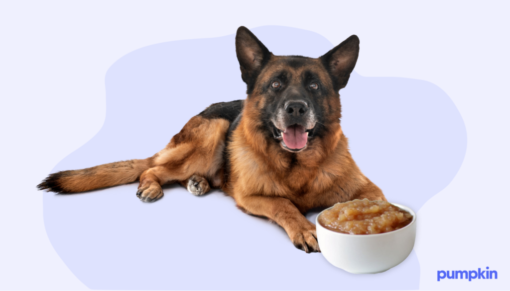 Is applesauce safe for dogs best sale