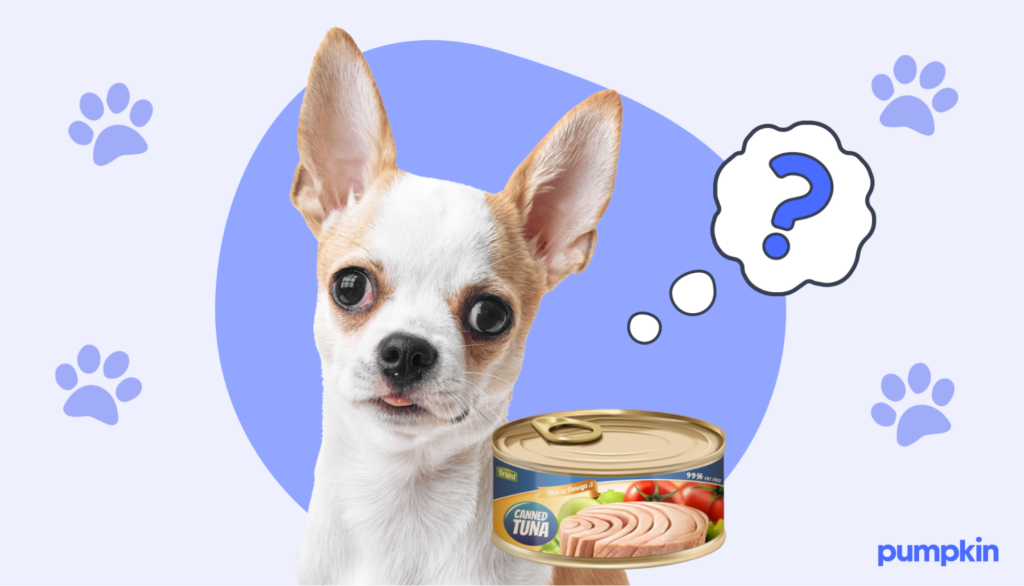 A dog with a can of tuna