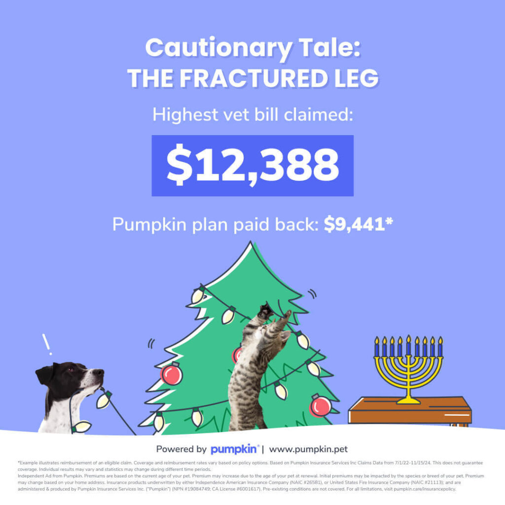 Cautionary Tale: The fractured leg. Highest vet bill claimed: $12,388. Pumpkin plan paid back: $9,441.