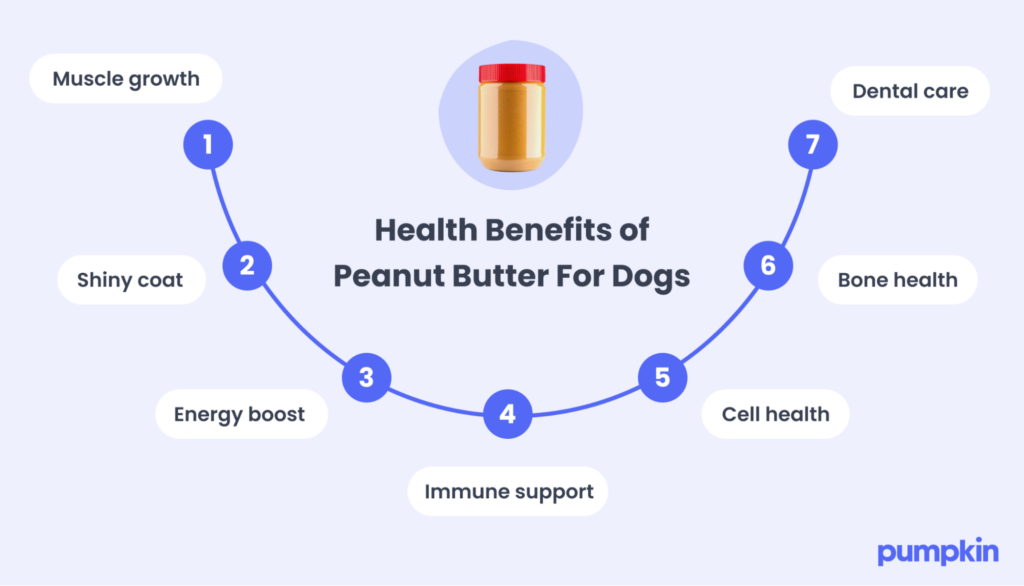 A list of health benefits of feeding peanut butter to dogs.