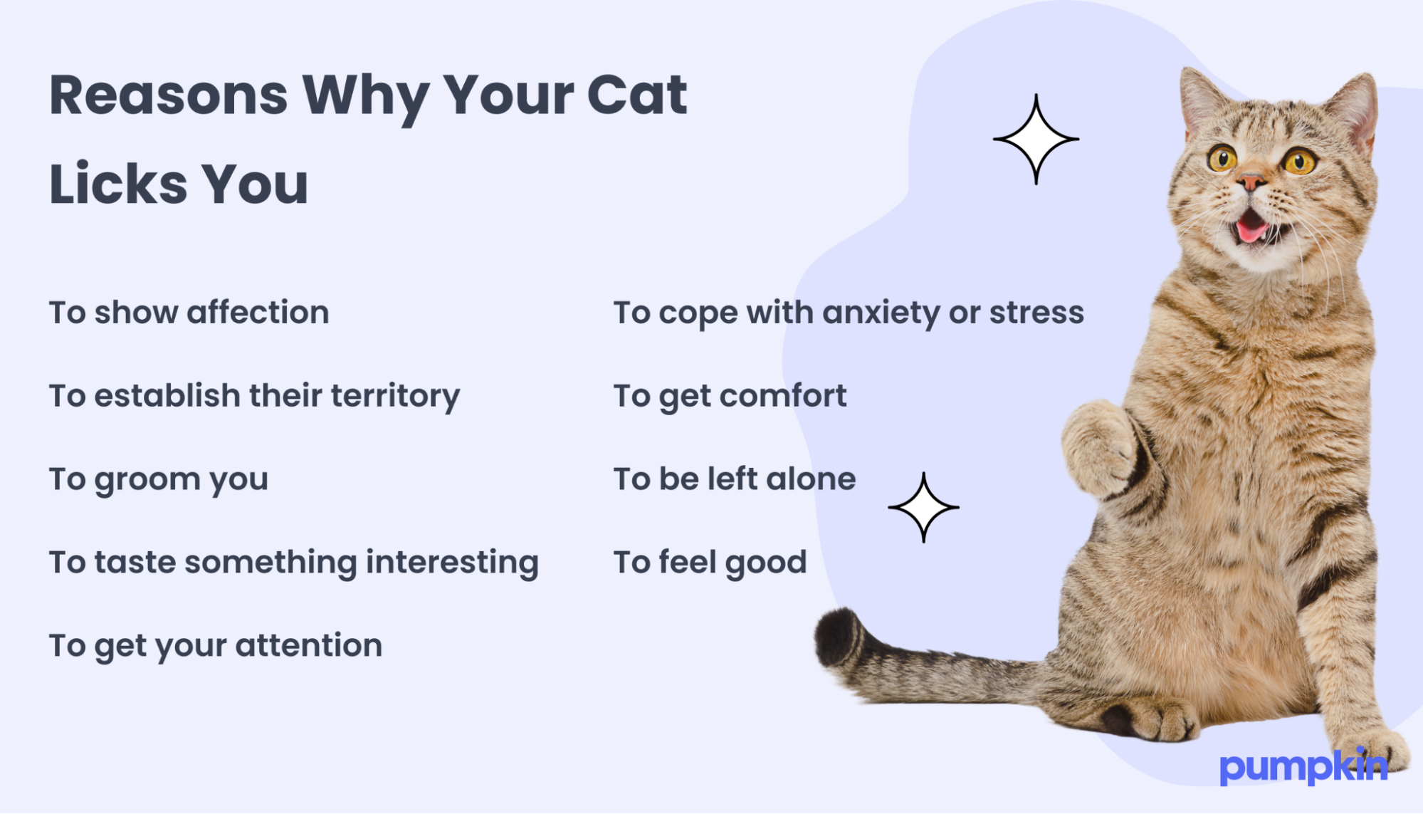 infographic titled 'Reasons Why Your Cat Licks You'