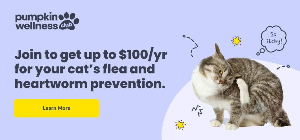 Join the Pumpkin Wellness Club to get up to $100/yr for your cat's flea and heartworm prevention.