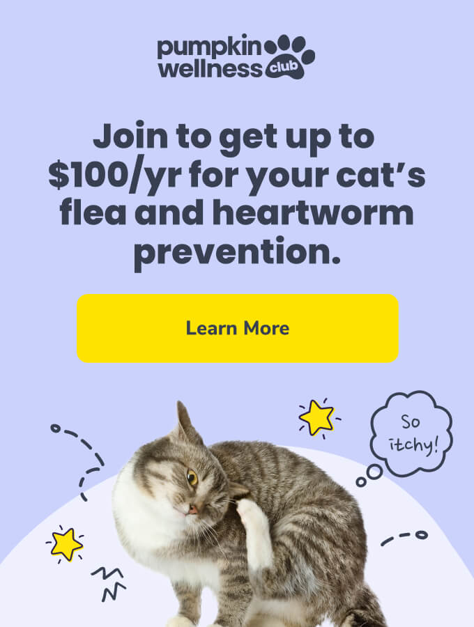 Join the Pumpkin Wellness Club to get up to $100/yr for your cat's flea and heartworm prevention.