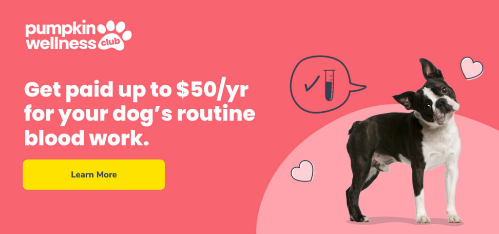 Get paid up to $50/yr for your dog's routine blood work with Pumpkin Wellness Club.