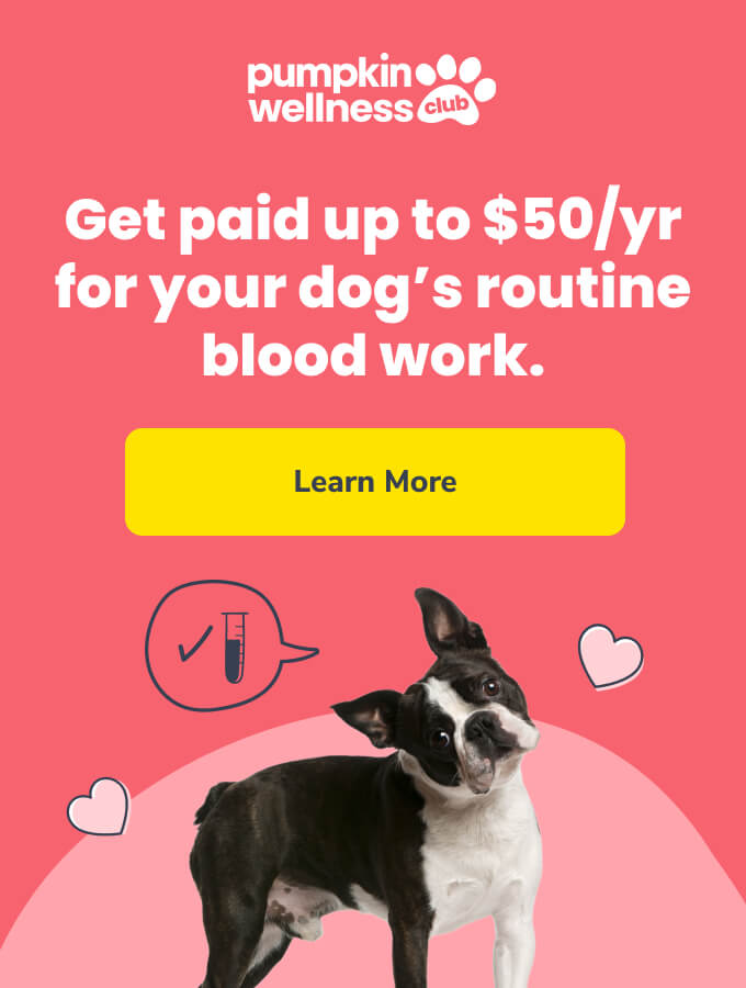 Get paid up to $50/yr for your dog's routine blood work with Pumpkin Wellness Club.