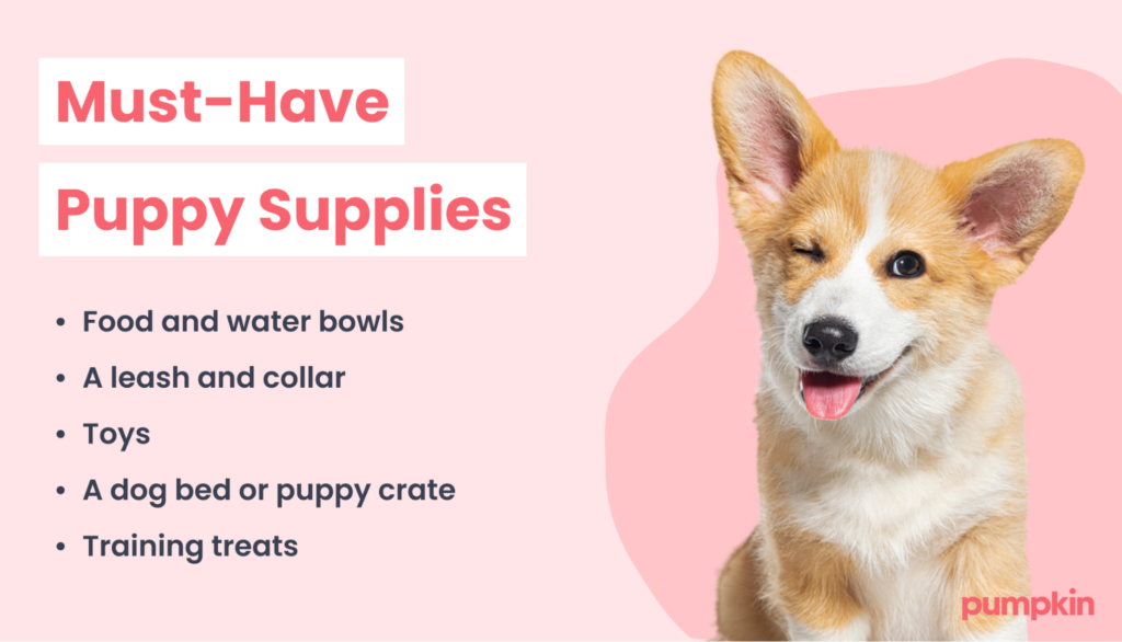 Supplies every puppy needs