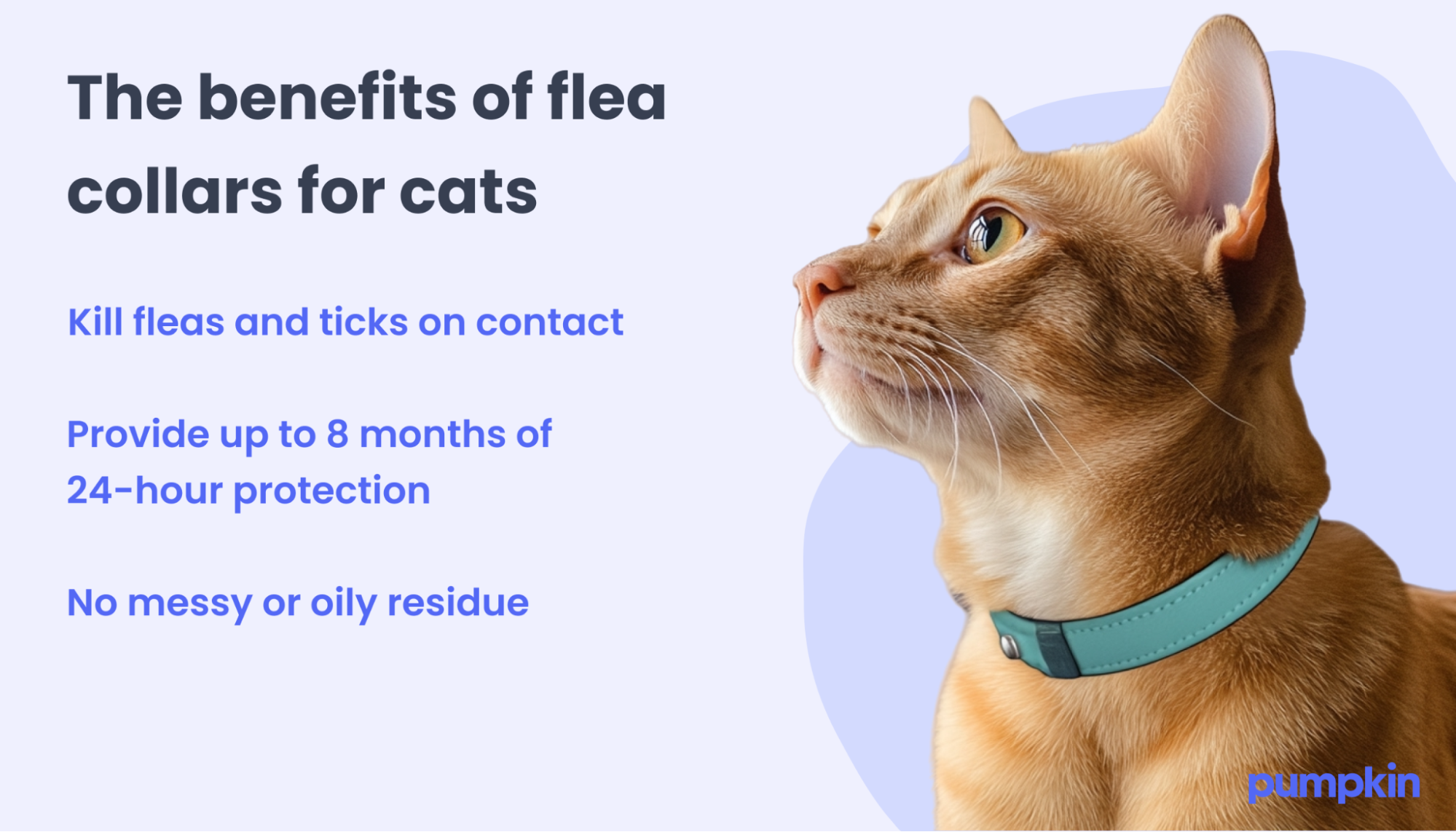 Infographic of the benefits of flea collars for cats