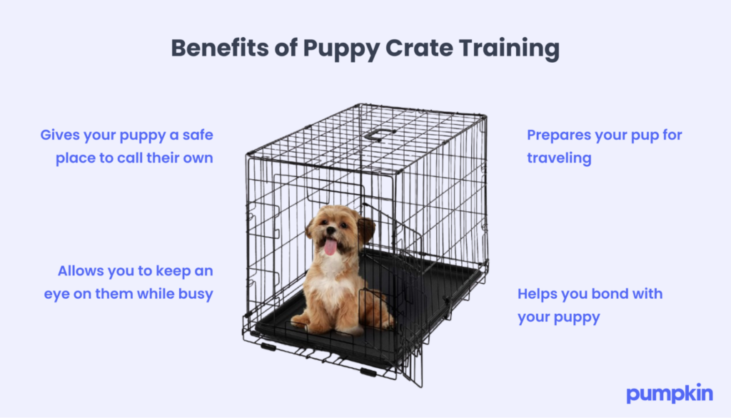 Benefits of puppy crate training