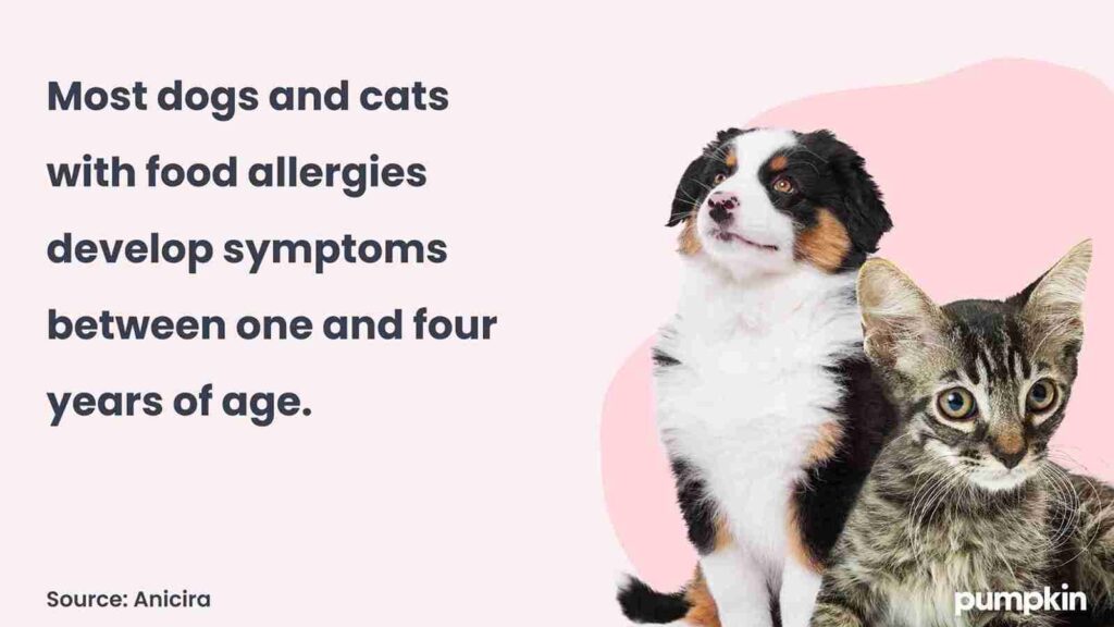 infographic with picture of a dog and cat and text that reads 'Most dogs and cats with food allergies develop symptoms between one and four years of age.'