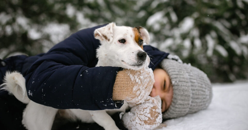 a girl with a jack Russell terrier dog playing in the snow