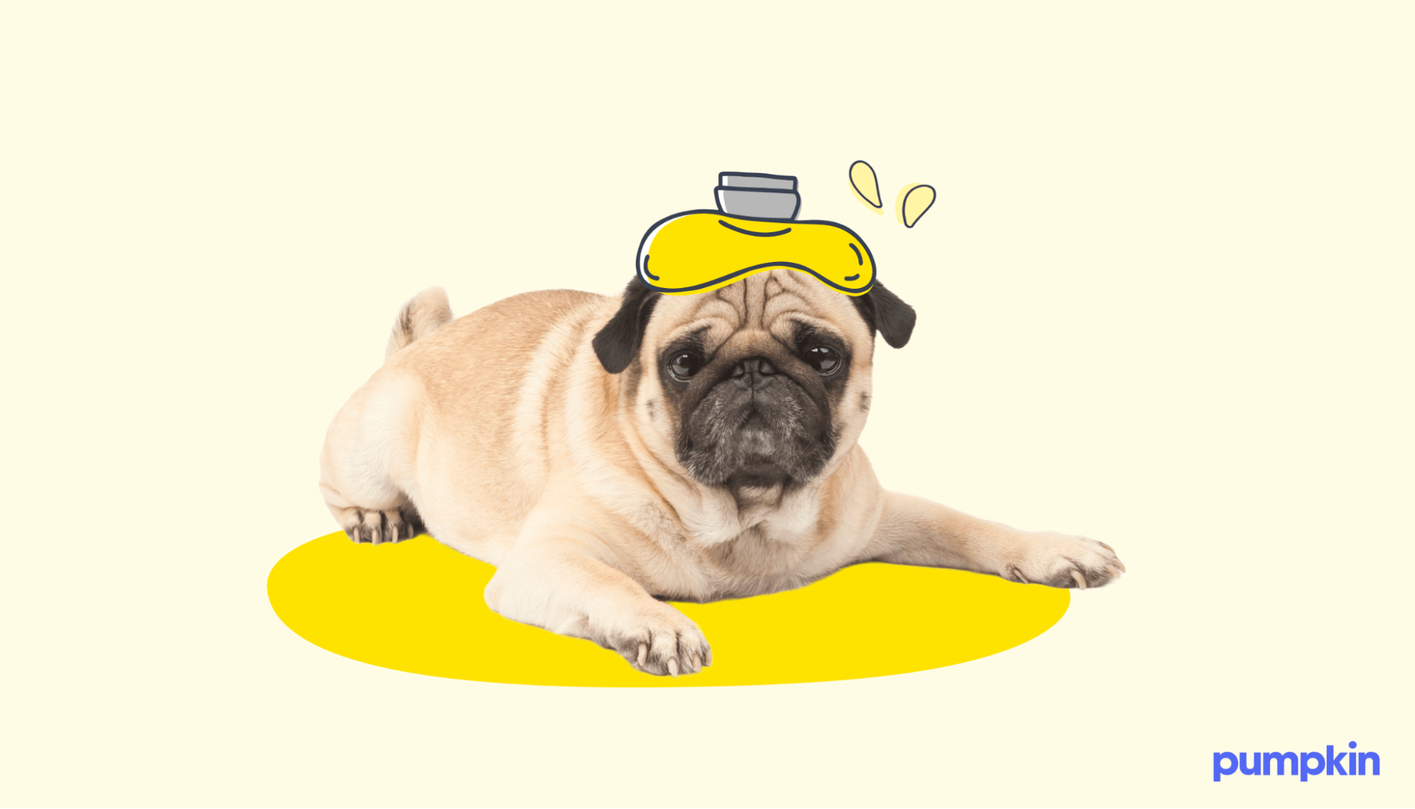 a pug with a fever wearing an illustrated hot water heater on their head