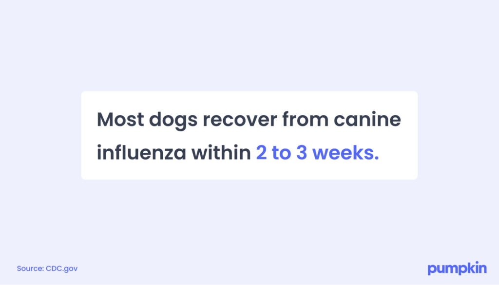 infographic that reads 'Most dogs recover from canine influenza within 2 to 3 weeks.'