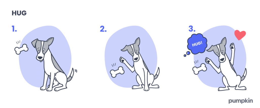 Steps to teach a dog to hug