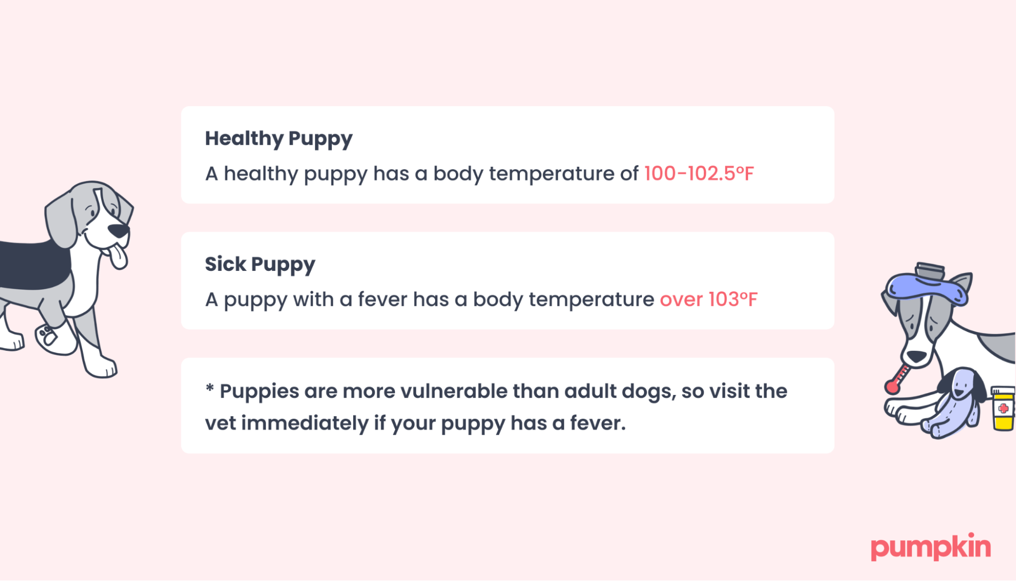 Infographic explaining normal puppy temperature and fever.